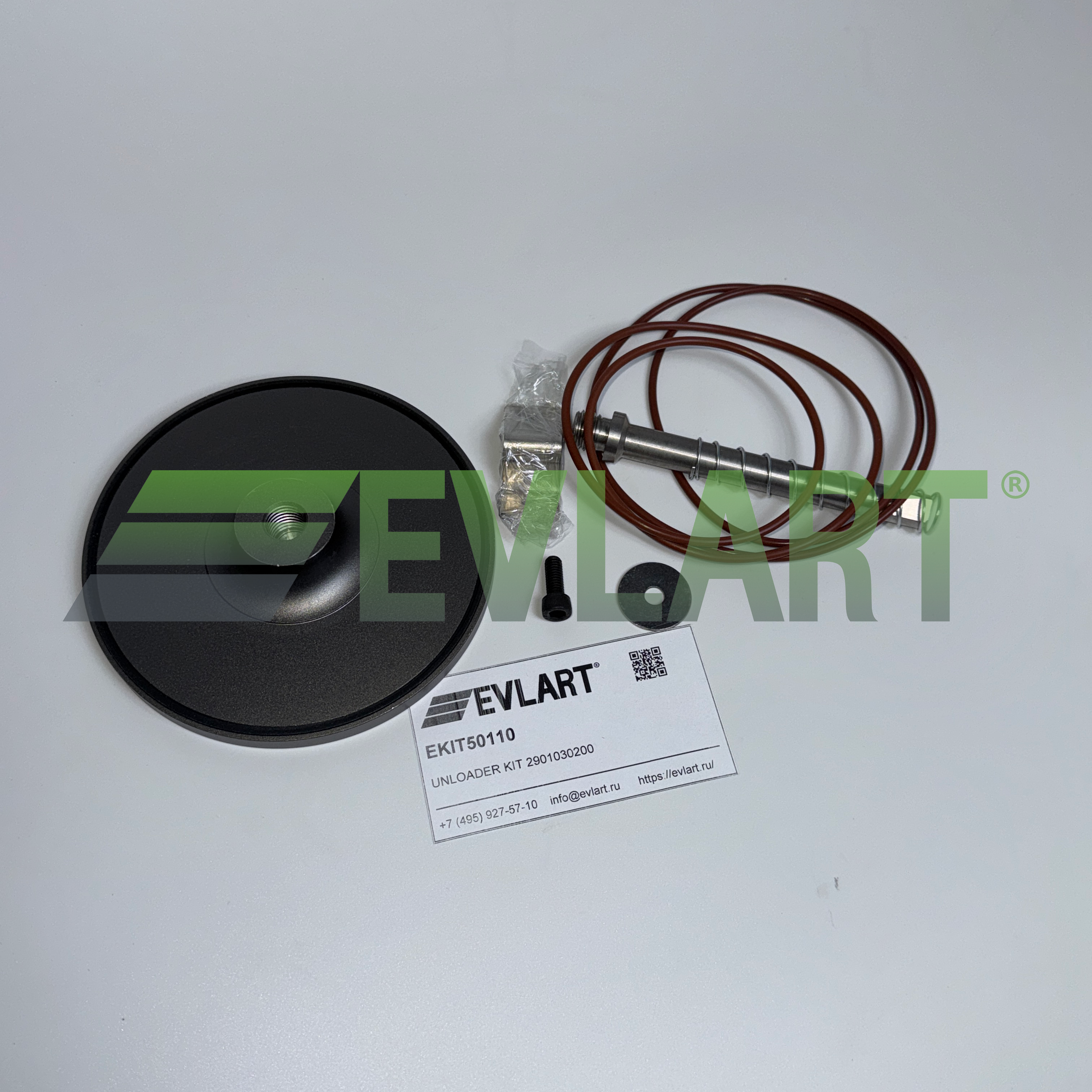 Ремкомплект впускного клапана (2901030200) EKIT50110, рис. 1